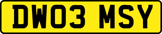 DW03MSY