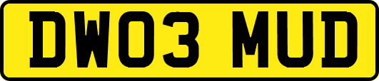 DW03MUD