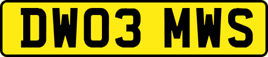 DW03MWS
