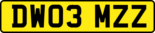 DW03MZZ
