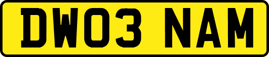 DW03NAM