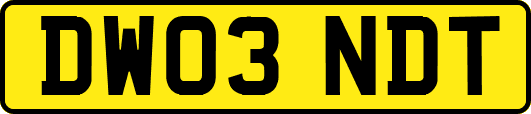 DW03NDT