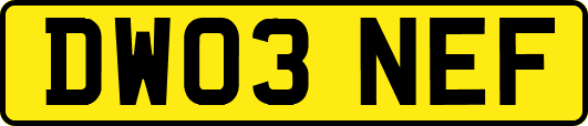 DW03NEF