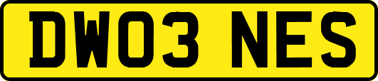 DW03NES