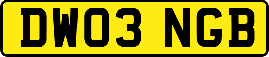 DW03NGB
