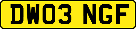DW03NGF