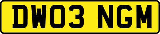 DW03NGM