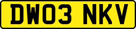 DW03NKV