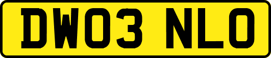 DW03NLO