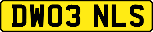DW03NLS
