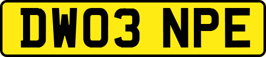 DW03NPE