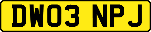 DW03NPJ