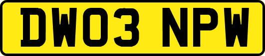 DW03NPW