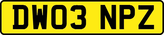 DW03NPZ