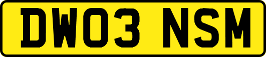 DW03NSM