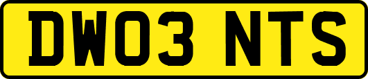 DW03NTS