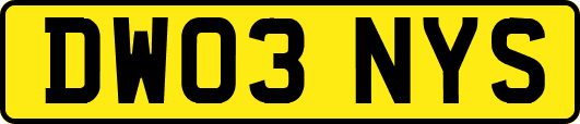 DW03NYS