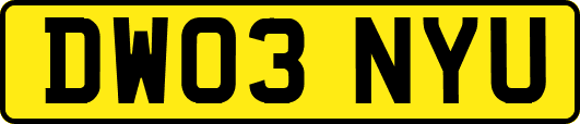 DW03NYU