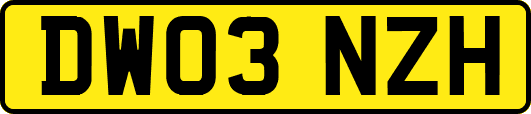 DW03NZH
