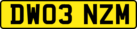 DW03NZM