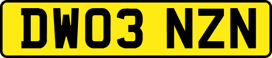 DW03NZN