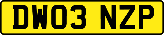 DW03NZP