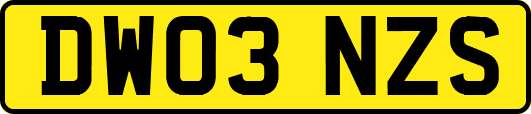 DW03NZS