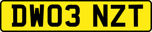 DW03NZT