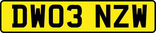 DW03NZW