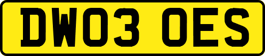 DW03OES