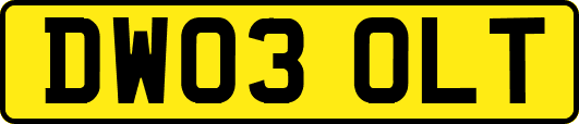 DW03OLT