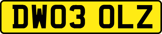 DW03OLZ
