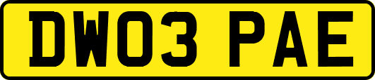 DW03PAE