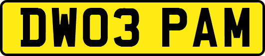DW03PAM