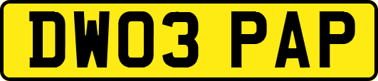 DW03PAP