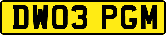 DW03PGM