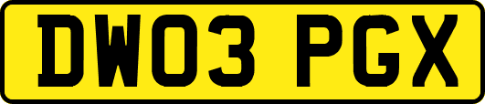 DW03PGX