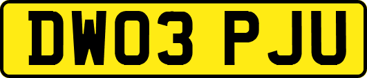 DW03PJU
