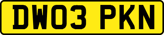 DW03PKN