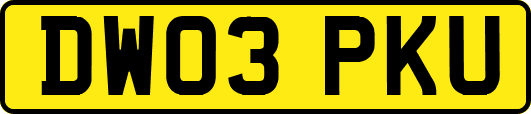 DW03PKU