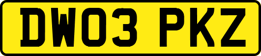 DW03PKZ