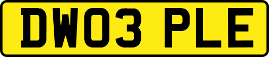 DW03PLE