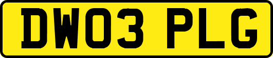 DW03PLG
