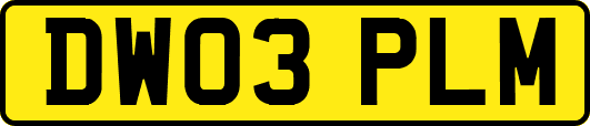DW03PLM