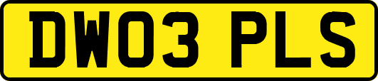 DW03PLS