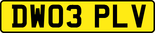 DW03PLV
