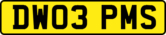 DW03PMS