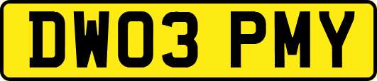 DW03PMY