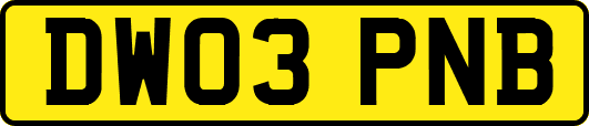 DW03PNB