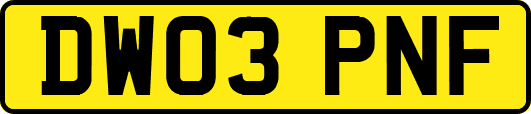 DW03PNF